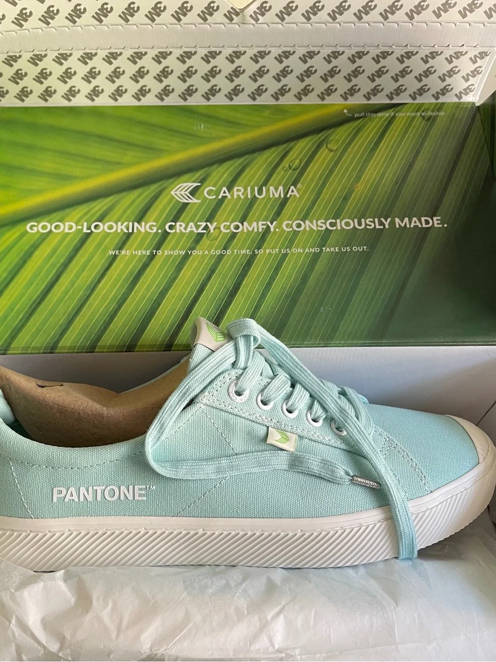Cariuma Pantone Mint Canvas Low-Top Sneaker - Mint